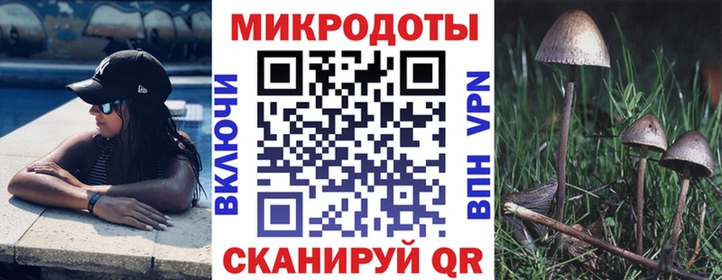 Псилоцибиновые грибы прущие грибы как найти закладки Лениногорск