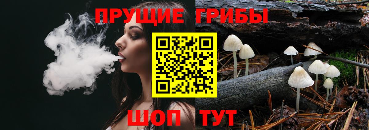Псилоцибиновые грибы MAGIC MUSHROOMS  Вход с VPN  Лениногорск 