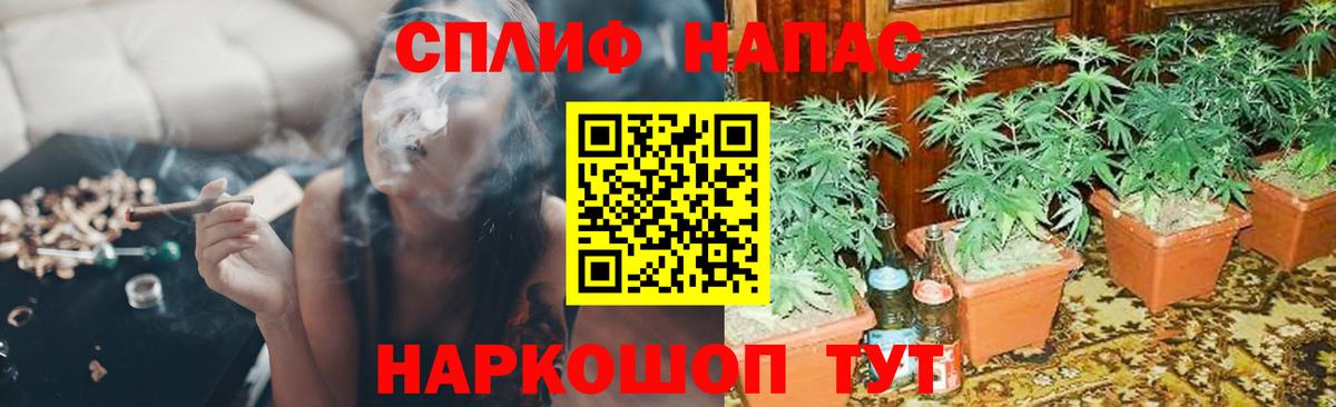 Лениногорск  Шишки марихуана THC 21%  Вход с VPN  Марихуана THC 21% 